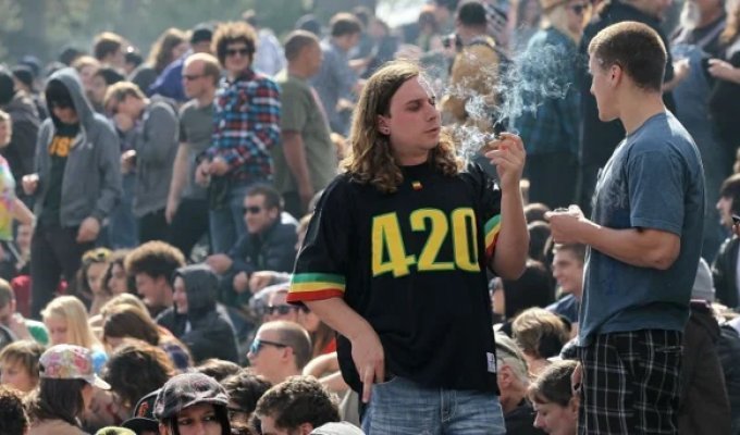 Код 420 — что связывает американских любителей марихуаны с этой цифрой (3 фото)
