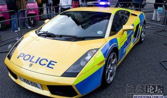 Полицейские автомобили (15 фотографий)