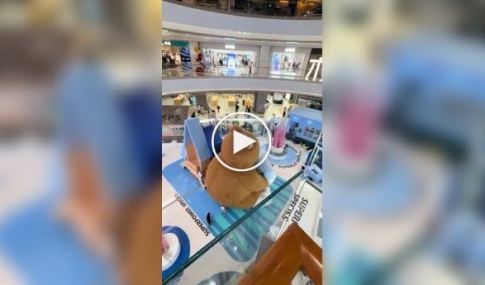 Кошка нашла для себя идеальную лежанку