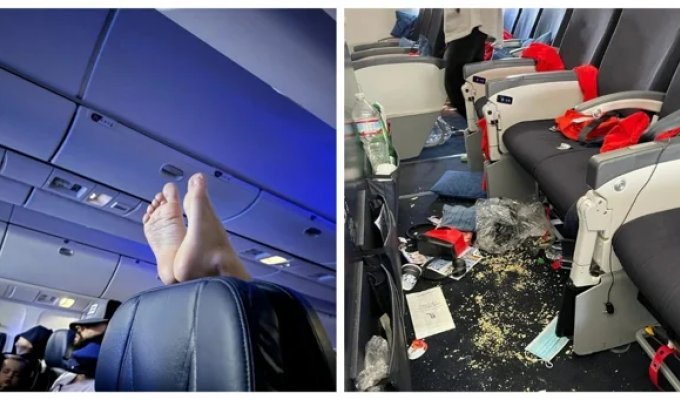 35 airline passengers who enjoy testing the patience of others (36 photos)