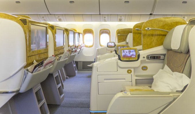 DeLuxe инкубатор от Emirates airline (19 фото)