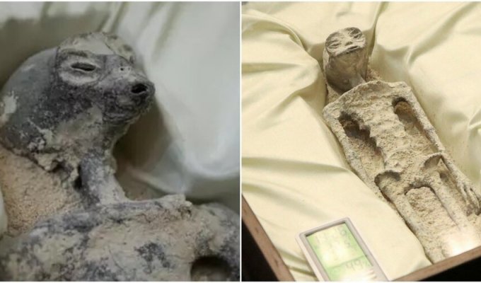 Ufologists said that the “alien bodies” from Peru are real (5 photos + 1 video)