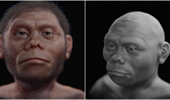 Scientists have revealed what the ancient "hobbits" looked like (7 photos)