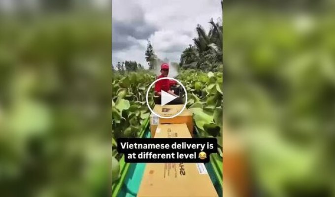 Во Вьетнаме курьеры «летают» по рекам на моторных лодках, чтобы успеть доставить посылки