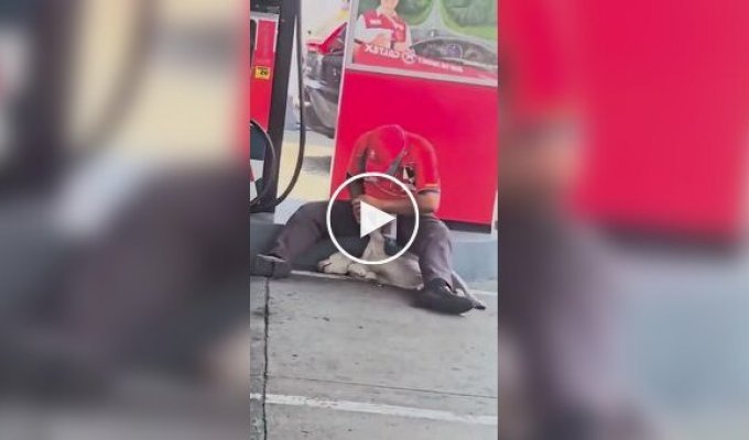 Priority of humanity: a gas station employee temporarily stopped work to save a lame dog