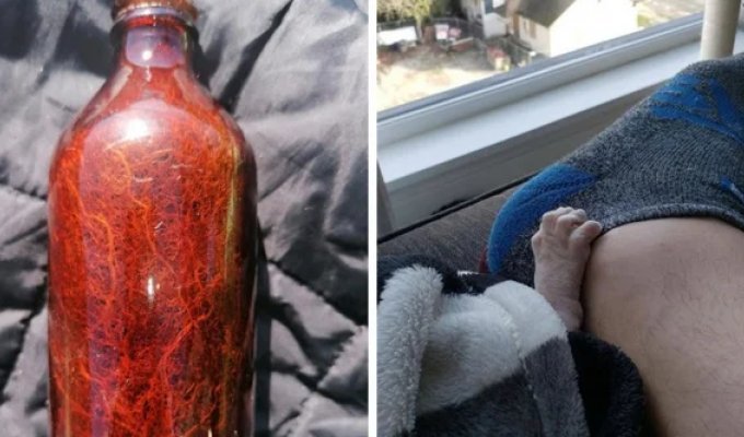 30 увлекательных вещей, которые доказывают, что жизнь полна чудес (31 фото)