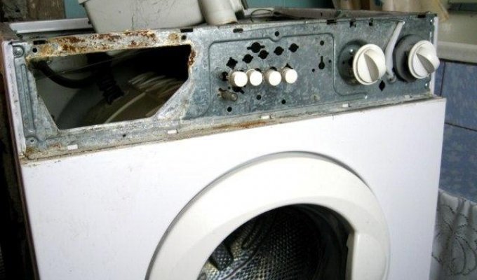 Второе дыхание для стиральной машины (13 фото)
