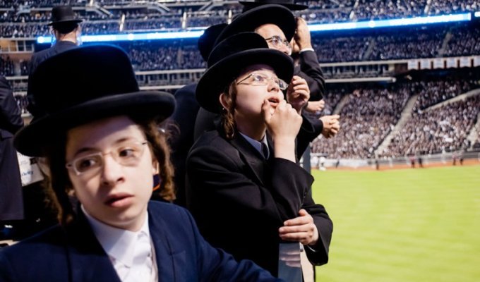 Евреи выступают против Интернета (12 фото)