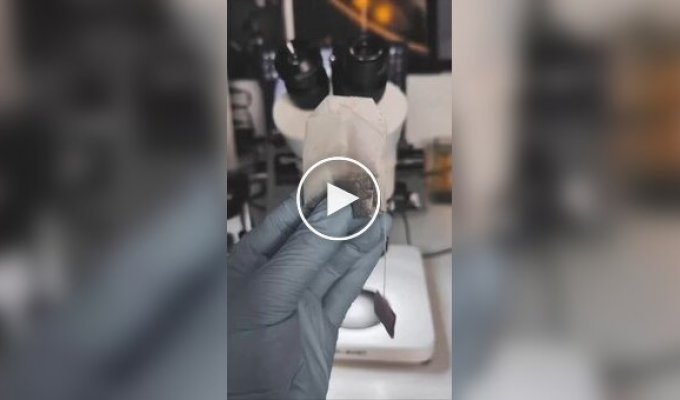 Любителям чайных пакетиков посвящается