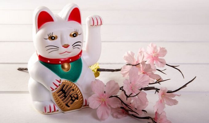 Where did the cat with the paw come from - maneki-neko (8 photos)