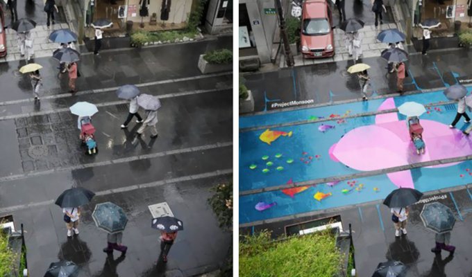 Эти цветные картины проявляются на асфальте только во время дождя (5 фото)