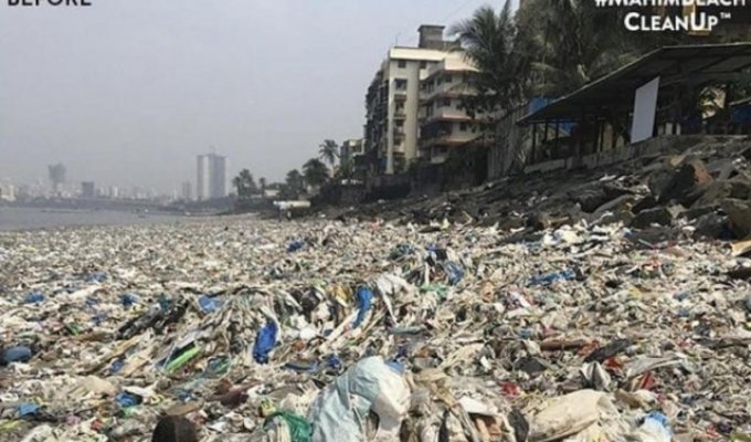 Добровольцы показали, как теперь выглядит пляж Махим Бич в Мумбае (2 фото)