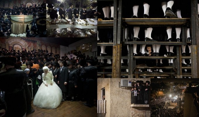 Свадьба еврейских ортодоксов (10 фото)