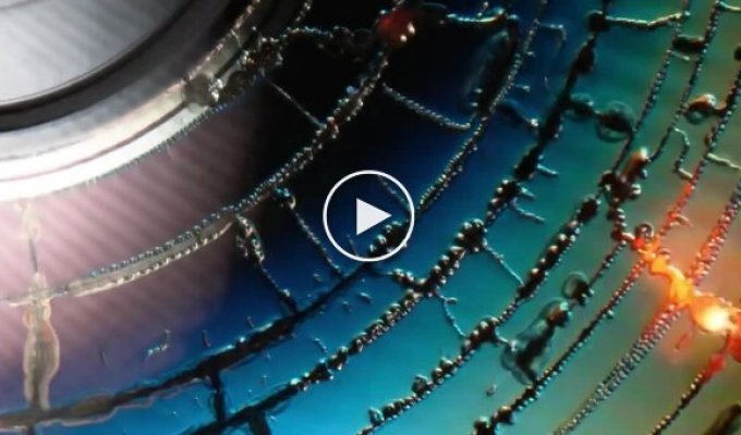 CD-диск разогрели микроволновке