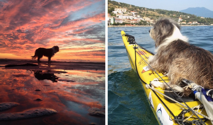 По Средиземному морю на каяке: мужчина уволился с работы и отправился в плавание вместе с собакой (11 фото + 1 видео)