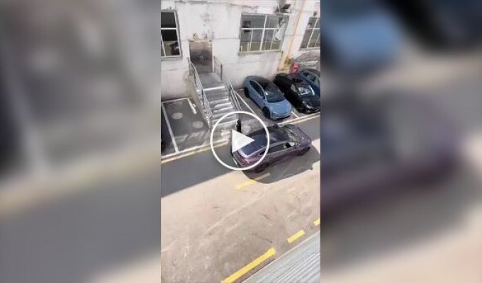 Интересный способ парковки