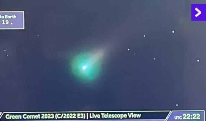 Netizens showed footage of a radish green comet (7 photos + video)