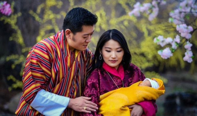 В Бутане рождение принца отпраздную высадкой леса из 108 000 деревьев (8 фото)