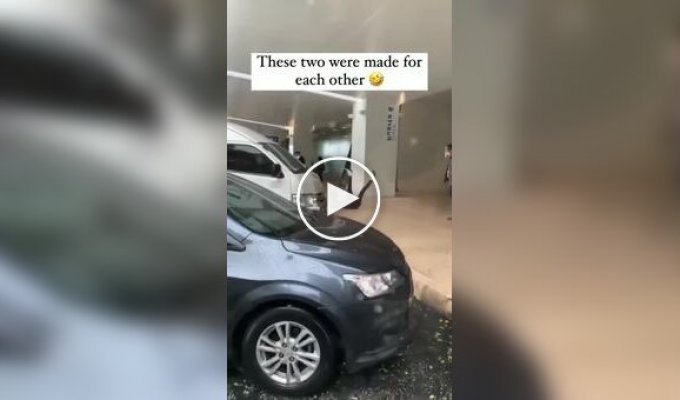 Идеальная парочка
