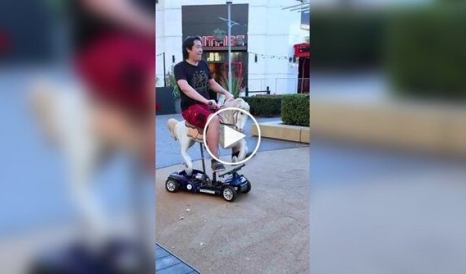 Инженер воссоздал в реальности несколько абсурдных предметов из роликов нейросетей