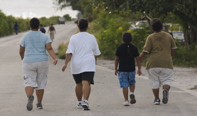Nauru - how residents of a small island state became the fattest people in the world (6 photos)