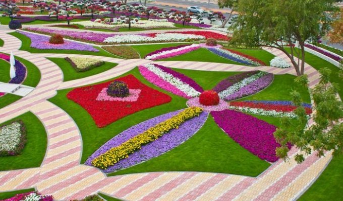 Цветочный сад Аль-Айн (17 фото)