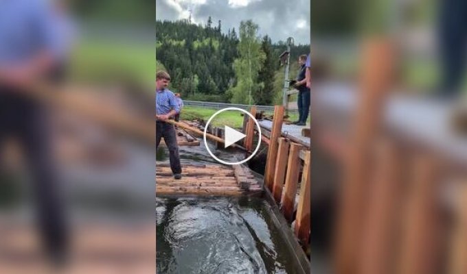 Log rafting season has begun in Germany