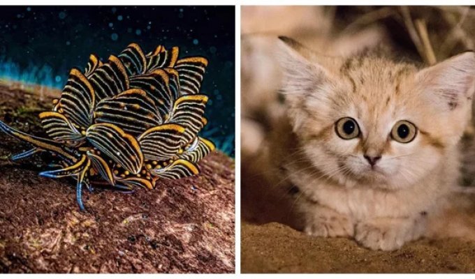 25 Breathtaking Nature Photos (26 photos)