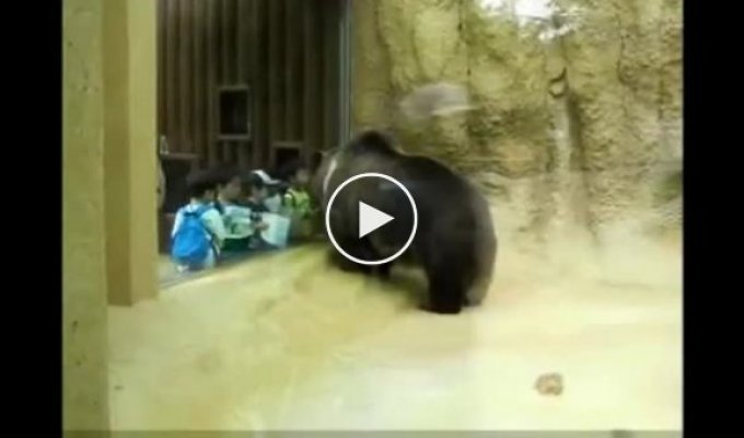 Медвежонок танцует с ребятишками
