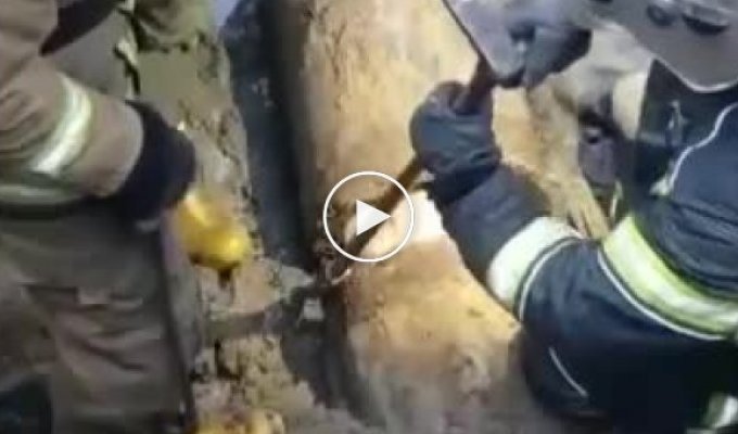В Питере полуголый парень застрял в канализационной трубе