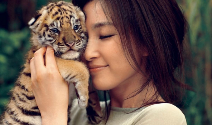 Why are many baby wild animals friendly to people? (5 photos)