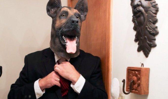 Реалистичная маска собаки - универсальное решение для любой костюмированной тусовки (6 фото)