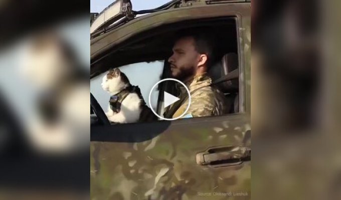 Ukrainian military man and his cat