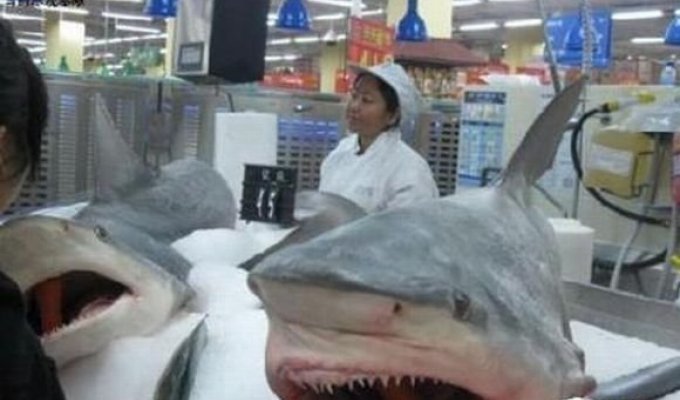 В Китае продают даже акулу
