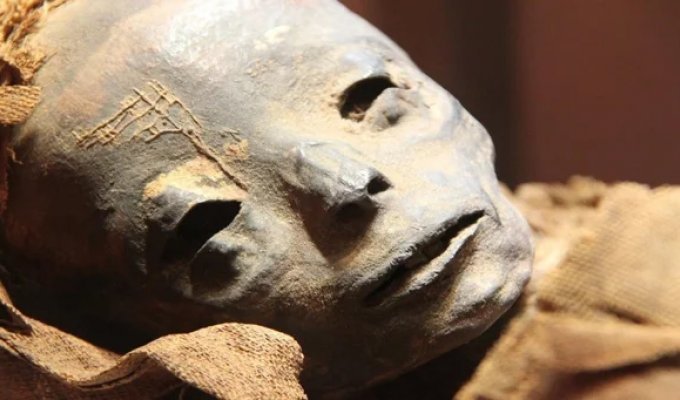 Egyptian mummy revealed the terrible secret of the "Black Death" (3 photos)