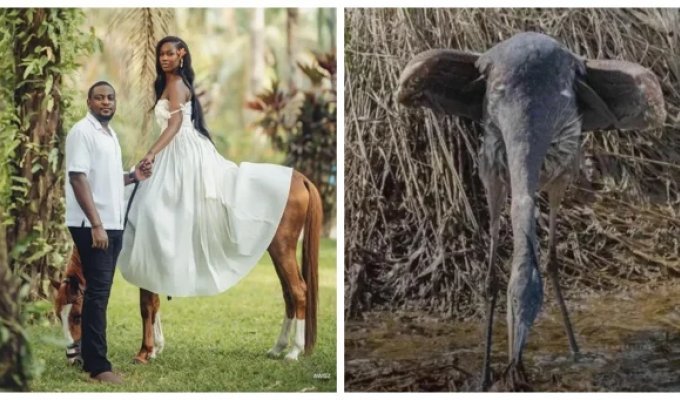 30 Photos That Will Make You Wipe Your Monitor and Your Eyes (31 photos)