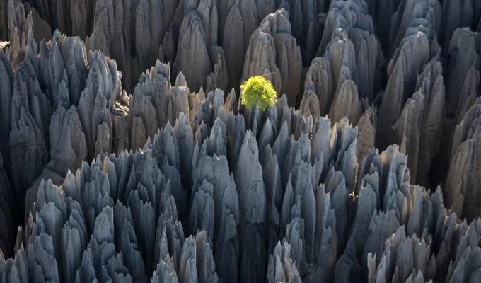 Земля увиденная с неба - Мадагаскар (18 фотографий)