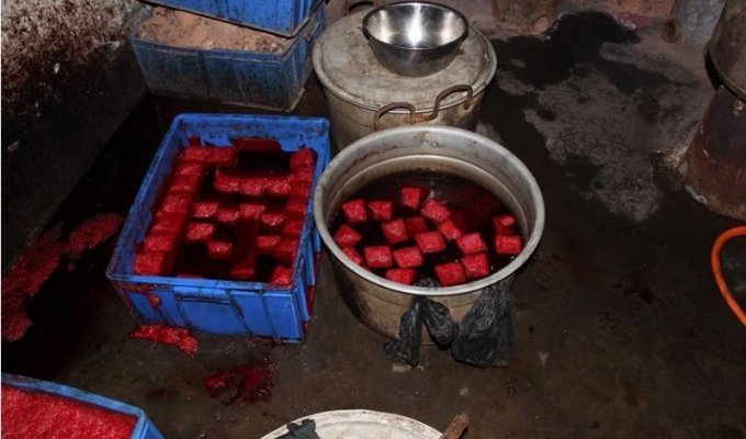 Цех по производству деликатесов из фальшивой утиной крови (7 фото)