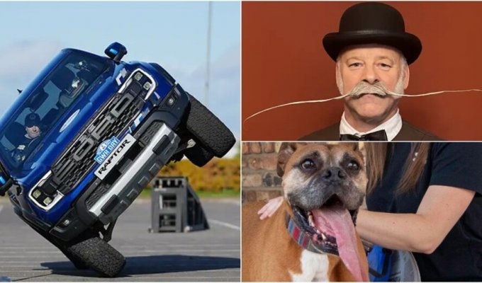 10 most crazy records from the Guinness Book of Records for 2023 (4 photos + 7 videos)