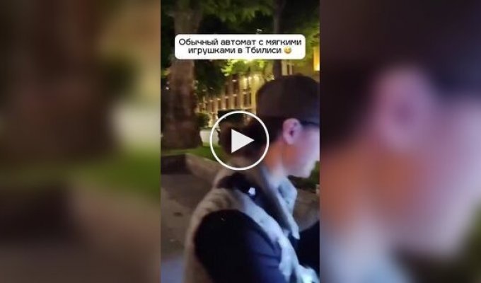Кот залез в автомат с мягкими игрушками