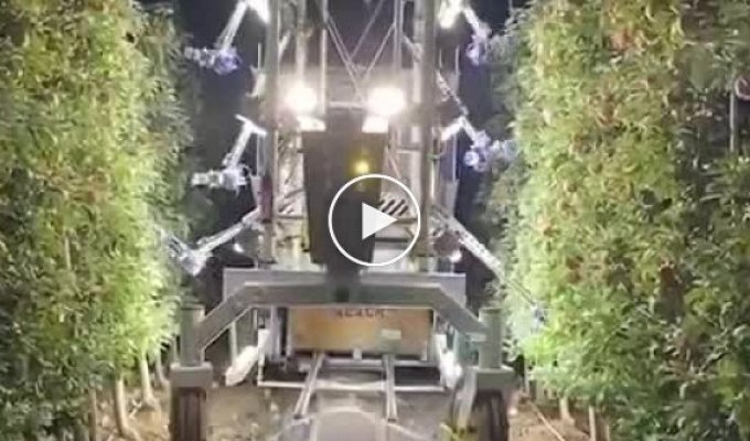 Agricultural robot capable of picking 30 fruits per minute