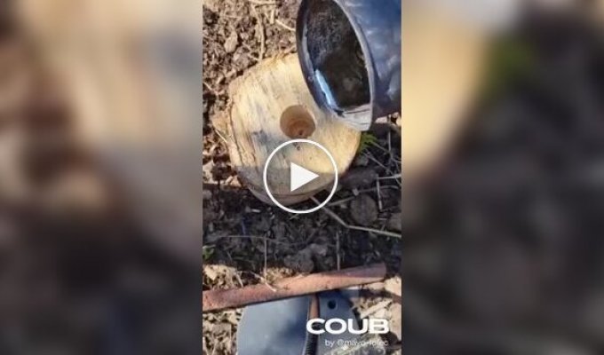 Funny (short videos). Release 63