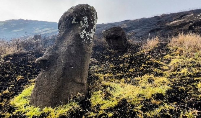 Каменные идолы моаи пострадали из-за пожара на острове Пасхи (4 фото)