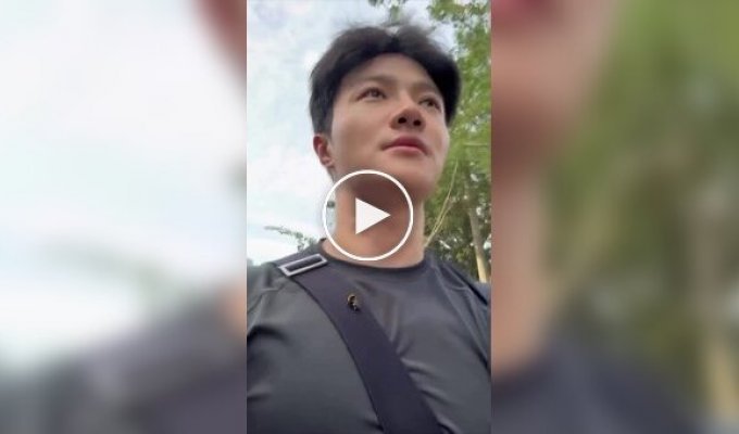 Японец подружился со шмелем и сделал его своим питомцем