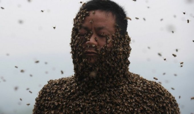Китайца облепили более 460 тысяч пчёл (9 фото)
