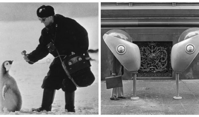 15 historical photographs that will change your understanding of the past (16 photos)