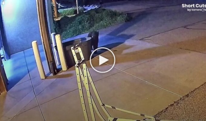 A bear stole a bag with firefighting equipment