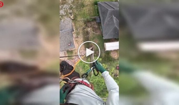 Даже у профессионала случаются неловкие моменты при работе с бензопилой