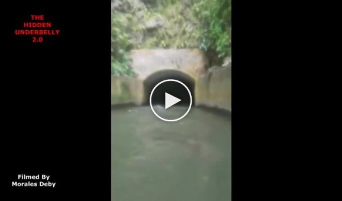 Во время сплава по реке друзья сняли жуткое существо