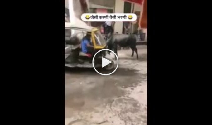 A man on a motor scooter regretted intervening in a bull fight